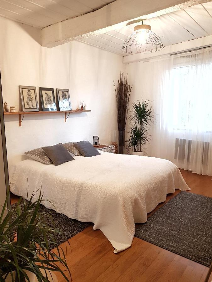 Chambre d hotes Lilimyna avec petit déjeuner Barjols Extérieur photo