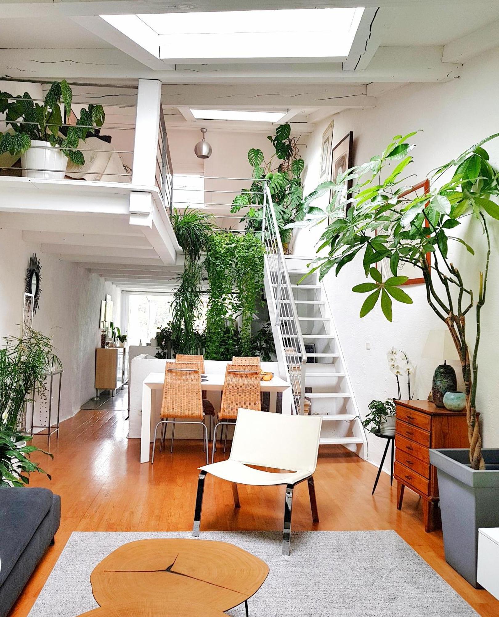 Chambre d hotes Lilimyna avec petit déjeuner Barjols Extérieur photo
